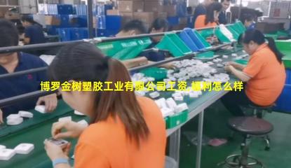 博罗金树塑胶工业 包装装潢印刷品印刷的创新实践与市场价值